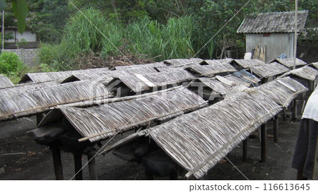 Kusamba Salt, a traditional rice field in eastern Bali 116613645