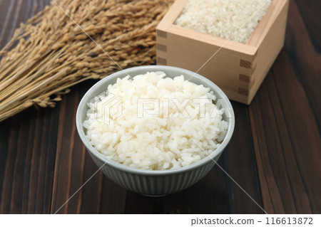 Rice served in a bowl 116613872