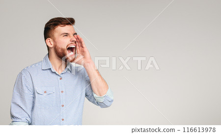 Shouting guy. Crazy emotional bearded man screaming over grey studio background, panorama, free space Shouting guy. Crazy emotional bearded man screaming over grey studio background, panorama, free space 116613978