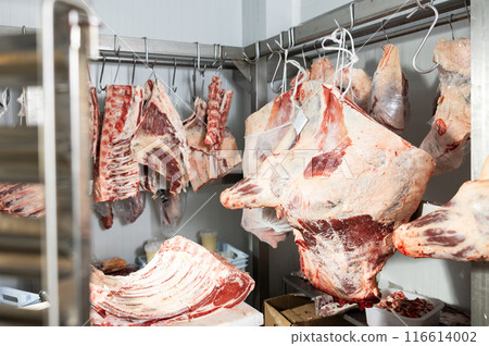 Slabs of raw beef hanging in meat storage of butcher shop Slabs of raw beef hanging in meat storage of butcher shop 116614002
