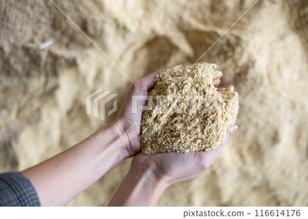 Handful of maize meal in hands of female farmer Handful of maize meal in hands of female farmer 116614176