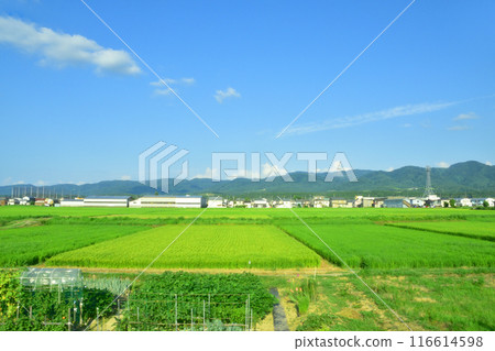 從JR東上越線長岡站到越後川口站的車窗所看到的景色（2022年夏天） 116614598