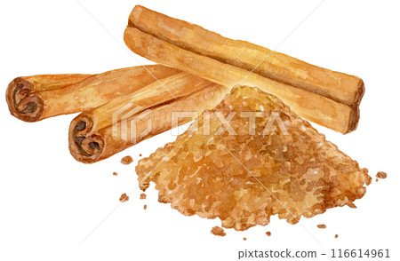 Cinnamon sticks and powder watercolor illustration 116614961