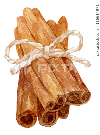 一束用繩子水彩插圖綁著的肉桂 116614971