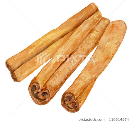 3 cinnamon sticks watercolor illustration 3 cinnamon sticks watercolor illustration 116614974