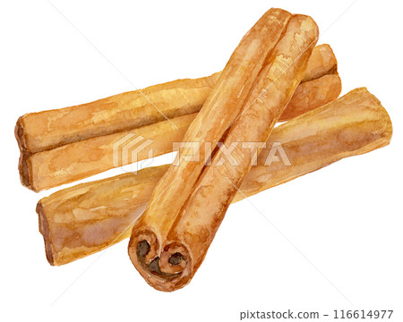 Cinnamon watercolor 116614977