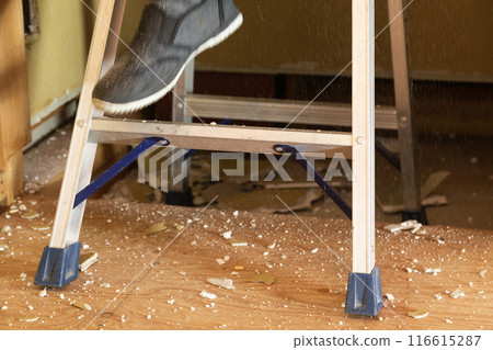 Interior construction work - ladder work 116615287