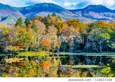 北海道知床五湖紅葉 - 水鏡四湖和知床山脈 - 116615506