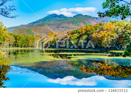 Hokkaido: Shiretoko Five Lakes in Autumn - The Four Mirror Lakes and the Shiretoko Mountain Range Hokkaido: Shiretoko Five Lakes in Autumn - The Four Mirror Lakes and the Shiretoko Mountain Range 116615512