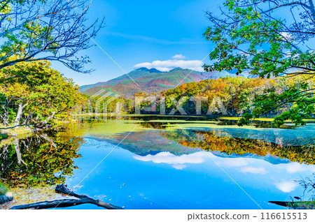 北海道知床五湖紅葉 - 水鏡四湖和知床山脈 - 116615513