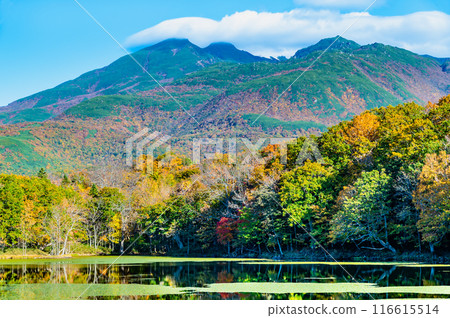 北海道知床五湖紅葉 - 水鏡四湖和知床山脈 - 北海道知床五湖紅葉 - 水鏡四湖和知床山脈 - 116615514