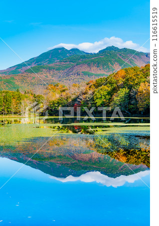 北海道知床五湖紅葉 - 水鏡四湖和知床山脈 - 北海道知床五湖紅葉 - 水鏡四湖和知床山脈 - 116615519