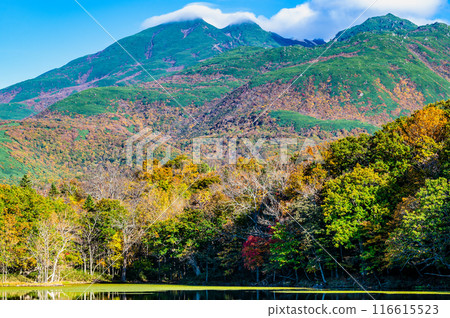 Hokkaido: Shiretoko Five Lakes in Autumn - The Four Mirror Lakes and the Shiretoko Mountain Range 116615523