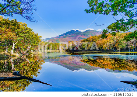 北海道知床五湖紅葉 - 水鏡四湖和知床山脈 - 116615525