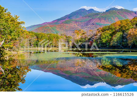 北海道知床五湖紅葉 - 水鏡四湖和知床山脈 - 116615526