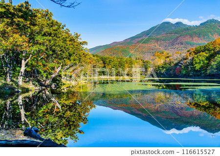 北海道知床五湖紅葉 - 水鏡四湖和知床山脈 - 116615527