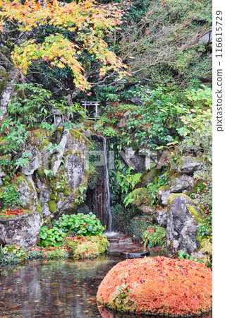 大原慈光院 紀志念 美麗的紅葉（京都市左京區） 116615729