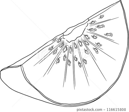 Vector hand drawn line Kiwifruit or Chinese gooseberry, or yangtaosign. Vector hand drawn line Kiwifruit or Chinese gooseberry, or yangtaosign. 116615808