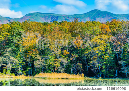 Hokkaido: Shiretoko Five Lakes in Autumn - Mirror-Shaded Lakes and the Shiretoko Mountain Range 116616098