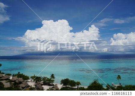 從莫雷阿島的觀景台看到的景色 116616113