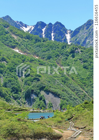 View of the Northern Alps in summer from Happo-one View of the Northern Alps in summer from Happo-one 116616455