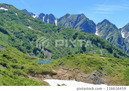 View of the Northern Alps in summer from Happo-one 116616459