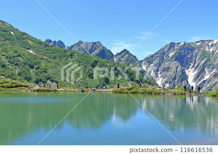 Happoike Pond and the Northern Alps in summer Happoike Pond and the Northern Alps in summer 116616536