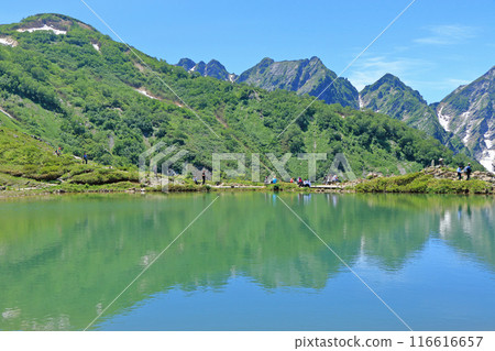 Happoike Pond and the Northern Alps in summer 116616657