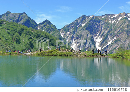 八方池和夏季的北阿爾卑斯山 116616738