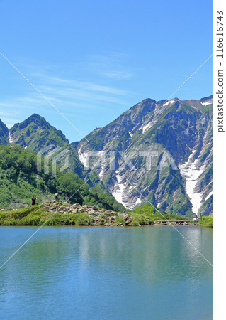 Happoike Pond and the Northern Alps in summer Happoike Pond and the Northern Alps in summer 116616743