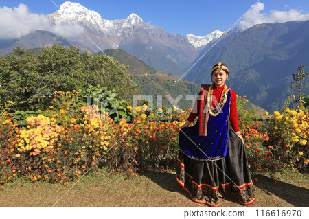 a girl with Gurung traditional dressing a Gurung village in Ghandruk town, Gandaki Province of Nepal, is a point of Annapurna circuit trek and Poonhill trekking in Nepal  116616970