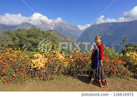 a girl with Gurung traditional dressing a Gurung village in Ghandruk town, Gandaki Province of Nepal, is a point of Annapurna circuit trek and Poonhill trekking in Nepal a girl with Gurung traditional dressing a Gurung village in Ghandruk town, Gandaki Province of Nepal, is a point of Annapurna circuit trek and Poonhill trekking in Nepal 116616972