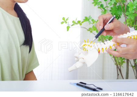 A man explaining using a skeletal model and a female patient A man explaining using a skeletal model and a female patient 116617642