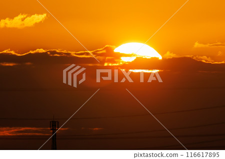 廣闊的河床上美麗的日出。日本群馬縣利根川河床。 廣闊的河床上美麗的日出。日本群馬縣利根川河床。 116617895