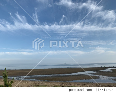 姬路白濱海邊 姬路白濱海邊 116617898