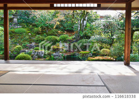 大原慈光院 紀志念 美麗的紅葉（京都市左京區） 116618338