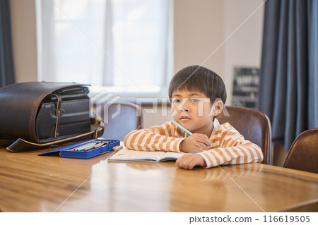 boy studying at home boy studying at home 116619505