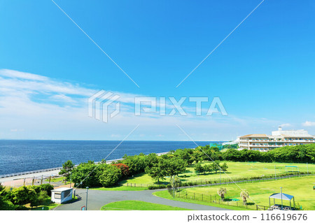 千葉縣新浦安藍天公園 千葉縣新浦安藍天公園 116619676