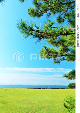 千葉縣新浦安，藍天海景公園 116619680