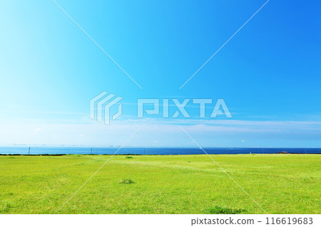 千葉縣新浦安，藍天海景公園 116619683