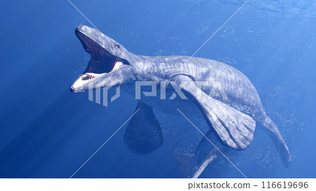 Swimming Mosasaurus Swimming Mosasaurus 116619696