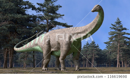 Apatosaurus in the forest Apatosaurus in the forest 116619698