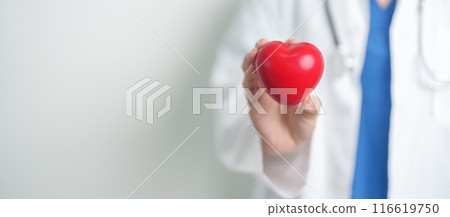 Doctor hand holding red heart shape in hospital. love, donor, world heart day, world health day, CSR donation and Insurance concepts 116619750