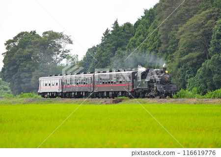 Mooka Railway Terauchi-Mooka C12-66 + 50 series Mooka Railway Terauchi-Mooka C12-66 + 50 series 116619776