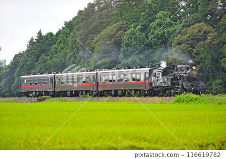 Mooka Railway Terauchi-Mooka C12-66 + 50 series 116619782