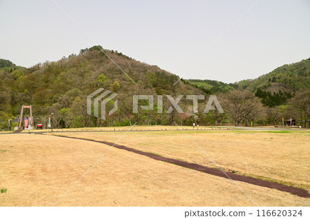 亞吉代公園 116620324