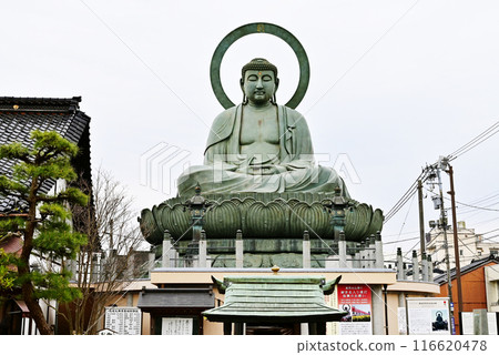Takaoka Daibutsu, one of the three great Buddhas of Japan, Amitabha Buddha, the most handsome man in Japan, a tourist spot in Toyama Prefecture 116620478