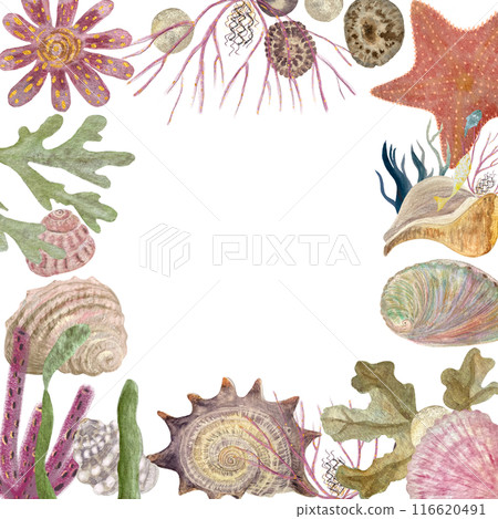 Shells underwater creatures frame in watercolor hand-drawn isolated on white. High quality art for notebooks, scrapbooking, stickers, fishing, cards, guides, invitations, tourism, tickets and booklets Shells underwater creatures frame in watercolor hand-drawn isolated on white. High quality art for notebooks, scrapbooking, stickers, fishing, cards, guides, invitations, tourism, tickets and booklets 116620491