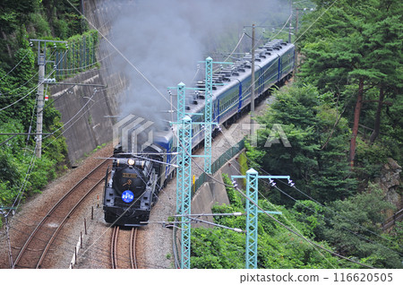 上越線 上牧水上 JR 東日本 D51-498+12 系列(高崎) SL 水上 上越線 上牧水上 JR 東日本 D51-498+12 系列(高崎) SL 水上 116620505