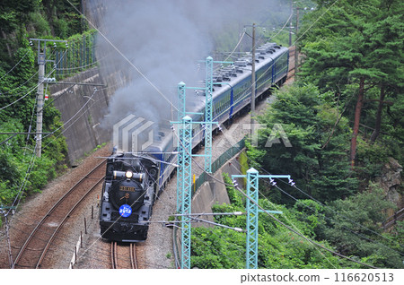 上越線 上牧水上 JR 東日本 D51-498+12 系列(高崎) SL 水上 上越線 上牧水上 JR 東日本 D51-498+12 系列(高崎) SL 水上 116620513